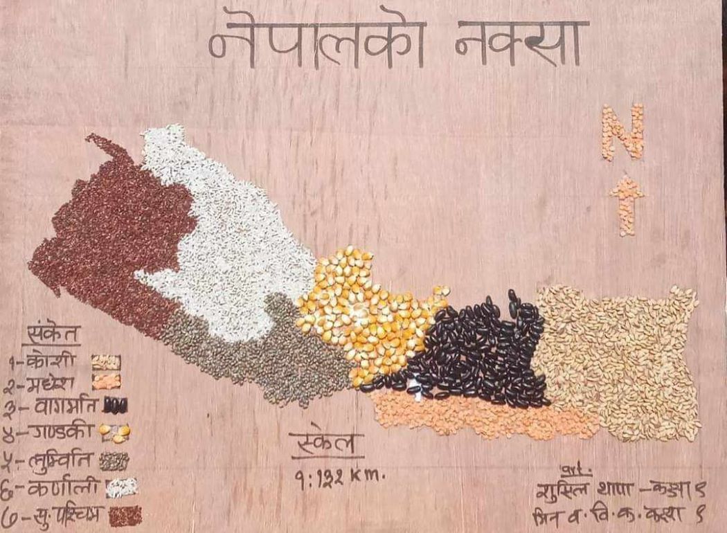 कक्षा ९ का विद्यार्थीले बनाए खाद्यान्नबाट नेपालको नक्सा